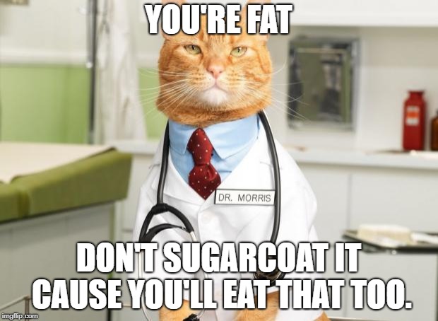 Cat Doctor | YOU'RE FAT; DON'T SUGARCOAT IT CAUSE YOU'LL EAT THAT TOO. | image tagged in cat doctor | made w/ Imgflip meme maker