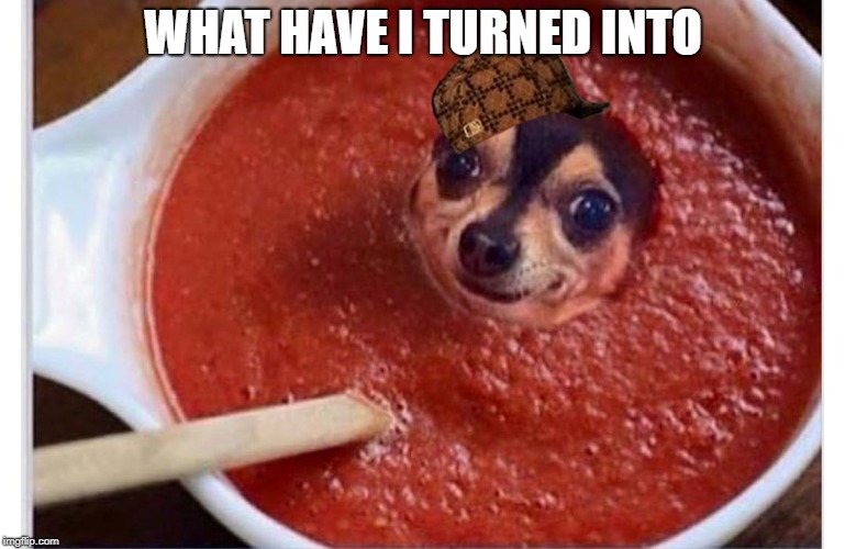 Sauce dog | WHAT HAVE I TURNED INTO | image tagged in sauce dog | made w/ Imgflip meme maker