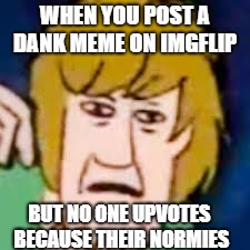 high shaggy | WHEN YOU POST A DANK MEME ON IMGFLIP; BUT NO ONE UPVOTES BECAUSE THEIR NORMIES | image tagged in high shaggy | made w/ Imgflip meme maker