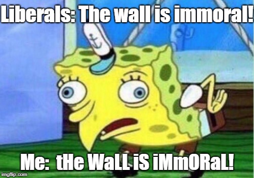 Democrats: Prioritizing Illegal Aliens Over American Citizens | Liberals: The wall is immoral! Me:  tHe WaLL iS iMmORaL! | image tagged in memes,mocking spongebob,the wall,build the wall,liberal logic | made w/ Imgflip meme maker