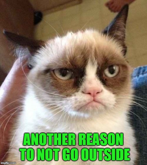 Grumpy Cat Reverse Meme | ANOTHER REASON TO NOT GO OUTSIDE | image tagged in memes,grumpy cat reverse,grumpy cat | made w/ Imgflip meme maker