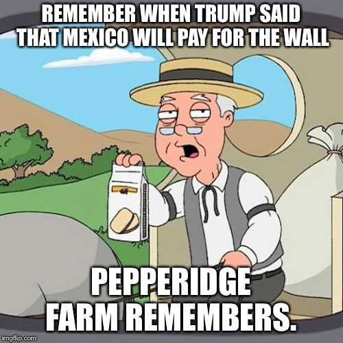 Pepperidge Farm Remembers Meme | REMEMBER WHEN TRUMP SAID THAT MEXICO WILL PAY FOR THE WALL; PEPPERIDGE FARM REMEMBERS. | image tagged in memes,pepperidge farm remembers,AdviceAnimals | made w/ Imgflip meme maker