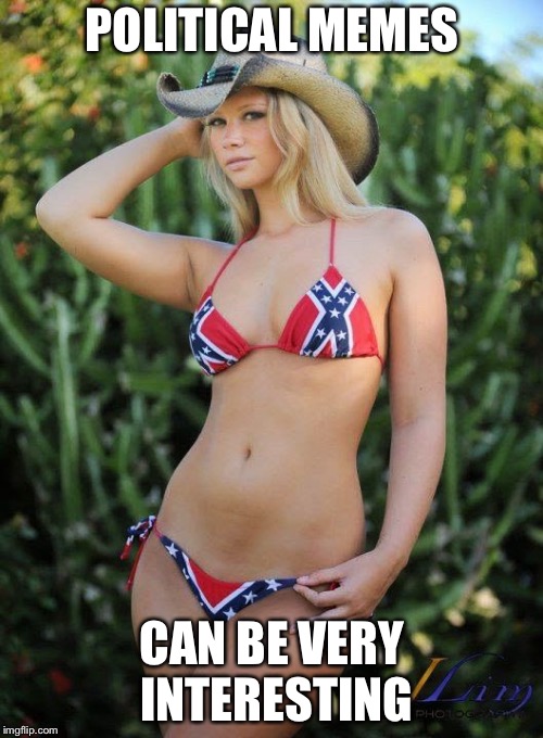 Confederate Bikini | POLITICAL MEMES CAN BE VERY INTERESTING | image tagged in confederate bikini | made w/ Imgflip meme maker