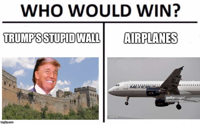 Who Would Win? | TRUMP’S STUPID WALL; AIRPLANES | image tagged in memes,who would win | made w/ Imgflip meme maker