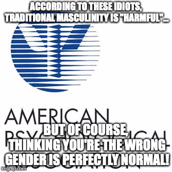 Welcome to a society where it is literally sexist to be a man...and they think WE deny science! | ACCORDING TO THESE IDIOTS, TRADITIONAL MASCULINITY IS "HARMFUL"... BUT OF COURSE, THINKING YOU'RE THE WRONG GENDER IS PERFECTLY NORMAL! | image tagged in memes,politics,apa,transgender,masculinity | made w/ Imgflip meme maker
