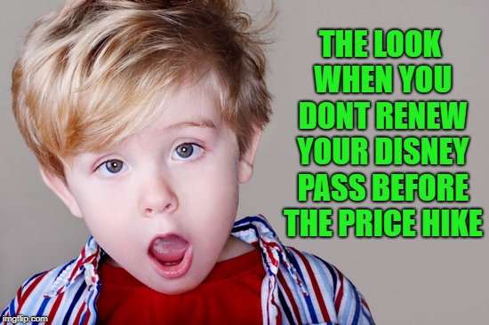 THE LOOK WHEN YOU DONT RENEW YOUR DISNEY PASS BEFORE THE PRICE HIKE | made w/ Imgflip meme maker