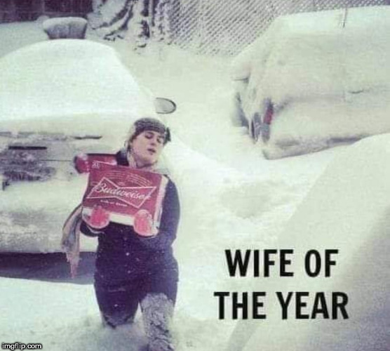 wife of the year | image tagged in wife | made w/ Imgflip meme maker