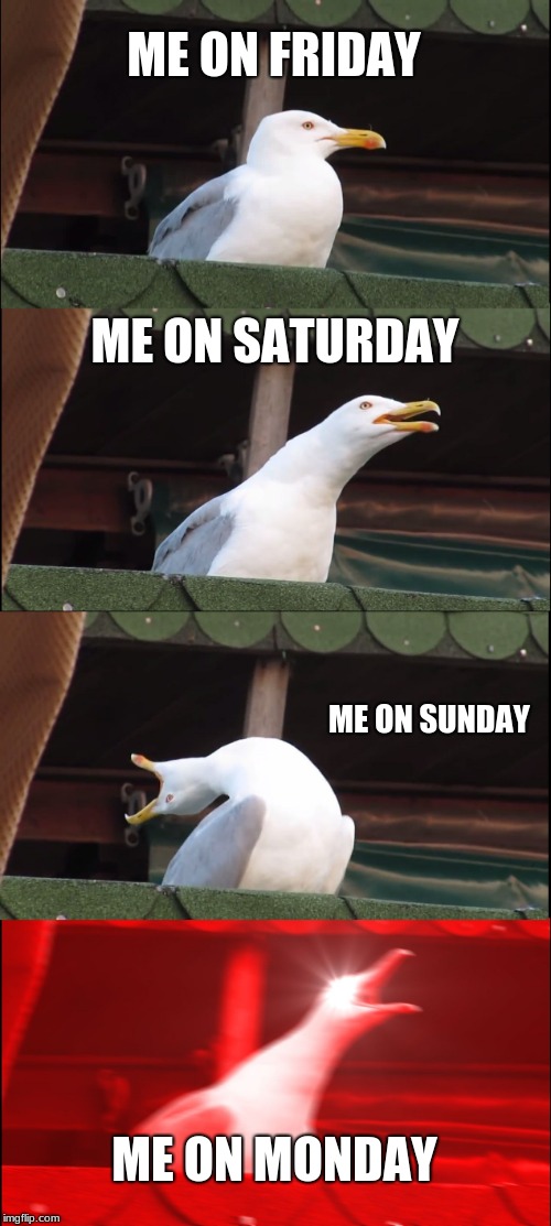 Inhaling Seagull Meme | ME ON FRIDAY; ME ON SATURDAY; ME ON SUNDAY; ME ON MONDAY | image tagged in memes,inhaling seagull | made w/ Imgflip meme maker