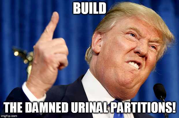 Donald Trump | BUILD THE DAMNED URINAL PARTITIONS! | image tagged in donald trump | made w/ Imgflip meme maker