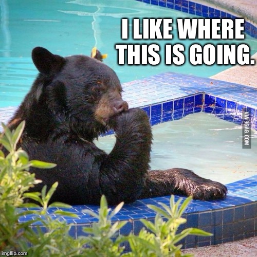 Ponder bear | I LIKE WHERE THIS IS GOING. | image tagged in ponder bear | made w/ Imgflip meme maker