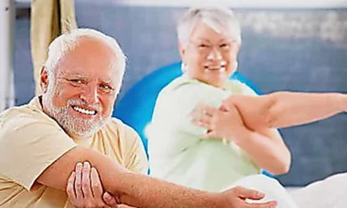 High Quality Hide the Pain Harold Fitness Blank Meme Template