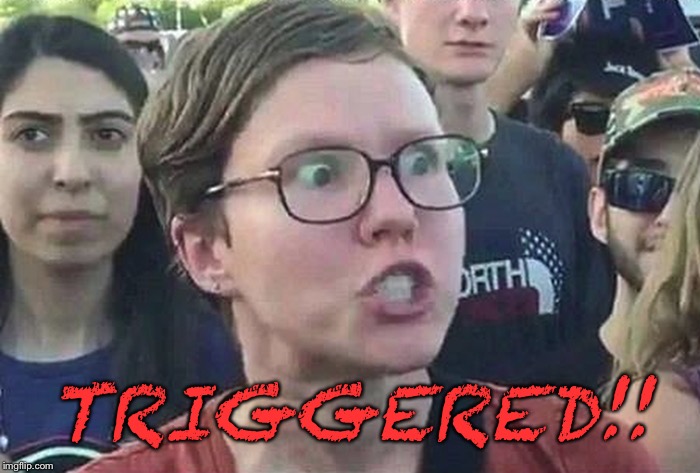 Triggered Liberal | TRIGGERED!! | image tagged in triggered liberal | made w/ Imgflip meme maker