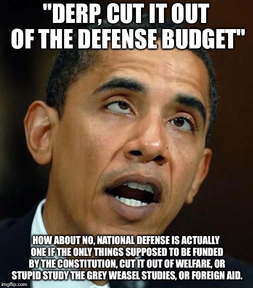 partisanship | "DERP, CUT IT OUT OF THE DEFENSE BUDGET" HOW ABOUT NO, NATIONAL DEFENSE IS ACTUALLY ONE IF THE ONLY THINGS SUPPOSED TO BE FUNDED BY THE CONS | image tagged in partisanship | made w/ Imgflip meme maker