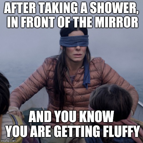 Bird Box Meme | AFTER TAKING A SHOWER, IN FRONT OF THE MIRROR; AND YOU KNOW YOU ARE GETTING FLUFFY | image tagged in bird box | made w/ Imgflip meme maker