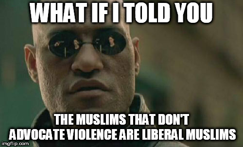 Matrix Morpheus | WHAT IF I TOLD YOU; THE MUSLIMS THAT DON'T ADVOCATE VIOLENCE ARE LIBERAL MUSLIMS | image tagged in memes,matrix morpheus,liberal,liberals,muslim,muslims | made w/ Imgflip meme maker