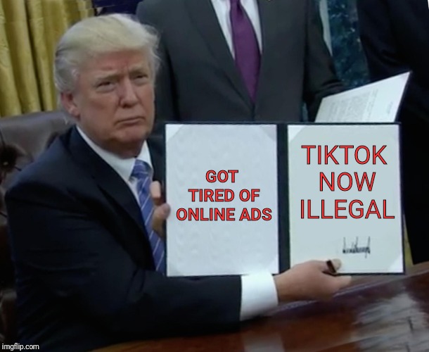 Trump Bill Signing Meme | GOT TIRED OF ONLINE ADS; TIKTOK NOW ILLEGAL | image tagged in memes,trump bill signing | made w/ Imgflip meme maker
