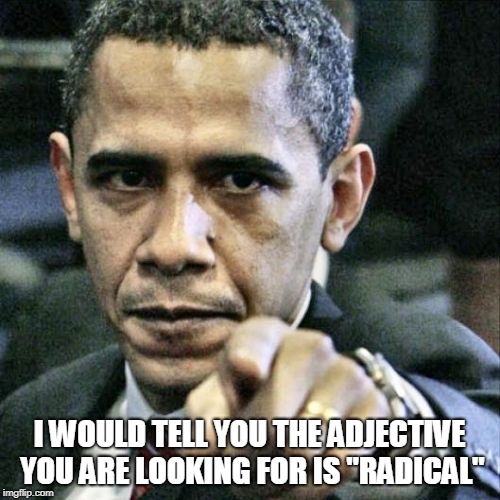 Pissed Off Obama Meme | I WOULD TELL YOU THE ADJECTIVE YOU ARE LOOKING FOR IS "RADICAL" | image tagged in memes,pissed off obama | made w/ Imgflip meme maker