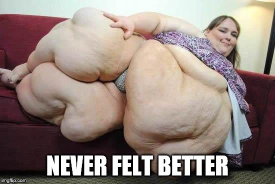 fat girl | NEVER FELT BETTER | image tagged in fat girl | made w/ Imgflip meme maker