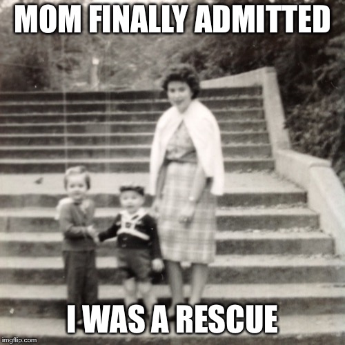 I'm a rescue | MOM FINALLY ADMITTED; I WAS A RESCUE | image tagged in funny | made w/ Imgflip meme maker
