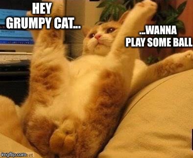 Cat Balls | ...WANNA PLAY SOME BALL; HEY GRUMPY CAT... | image tagged in cat balls,balls,play,grumpy cat | made w/ Imgflip meme maker