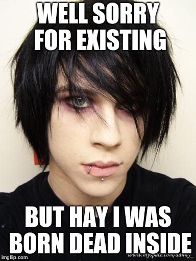 EMO KID | WELL SORRY FOR EXISTING BUT HAY I WAS BORN DEAD INSIDE | image tagged in emo kid | made w/ Imgflip meme maker