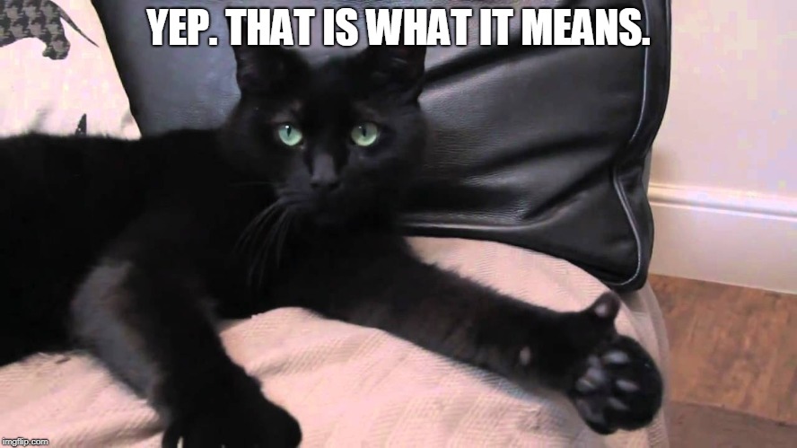 thumbs up cat | YEP. THAT IS WHAT IT MEANS. | image tagged in thumbs up cat | made w/ Imgflip meme maker