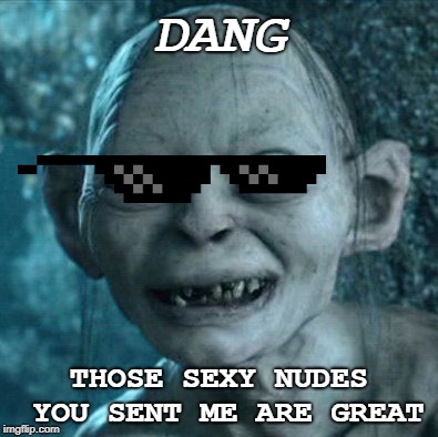Gollum Meme | DANG; THOSE SEXY NUDES YOU SENT ME ARE GREAT | image tagged in memes,gollum | made w/ Imgflip meme maker