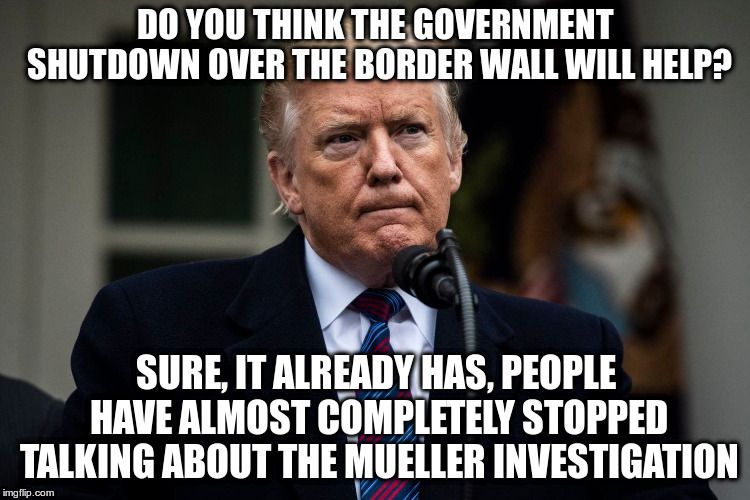 Maybe you misunderstood the question sir? | DO YOU THINK THE GOVERNMENT SHUTDOWN OVER THE BORDER WALL WILL HELP? SURE, IT ALREADY HAS, PEOPLE HAVE ALMOST COMPLETELY STOPPED TALKING ABOUT THE MUELLER INVESTIGATION | image tagged in trump,humor,border wall,mueller,russian collusion | made w/ Imgflip meme maker