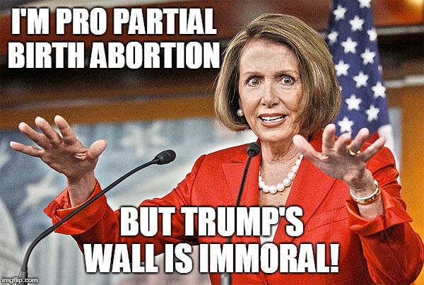 People who hold these views should rethink lecturing anyone on morality. | I'M PRO PARTIAL BIRTH ABORTION; BUT TRUMP'S WALL IS IMMORAL! | image tagged in nancy pelosi is crazy,trump's wall,immoral,illegal immigration,abortion,memes | made w/ Imgflip meme maker