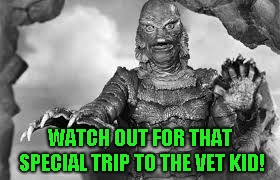 WATCH OUT FOR THAT SPECIAL TRIP TO THE VET KID! | made w/ Imgflip meme maker
