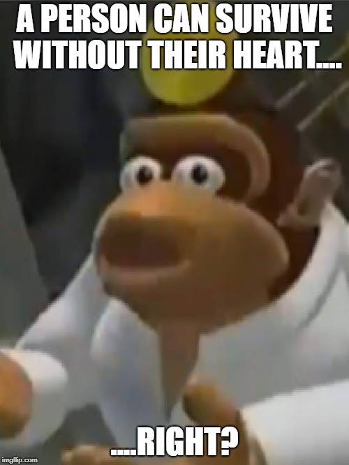 Dr. Kong Meme | A PERSON CAN SURVIVE WITHOUT THEIR HEART.... ....RIGHT? | image tagged in donkey kong,doctor,memes,fail | made w/ Imgflip meme maker