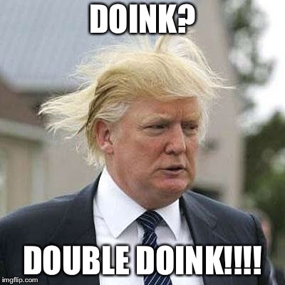 Donald Trump | DOINK? DOUBLE DOINK!!!! | image tagged in donald trump | made w/ Imgflip meme maker