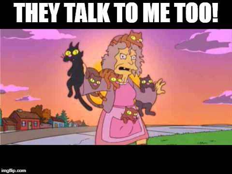 Simpson's Crazy Cat Lady | THEY TALK TO ME TOO! | image tagged in simpson's crazy cat lady | made w/ Imgflip meme maker