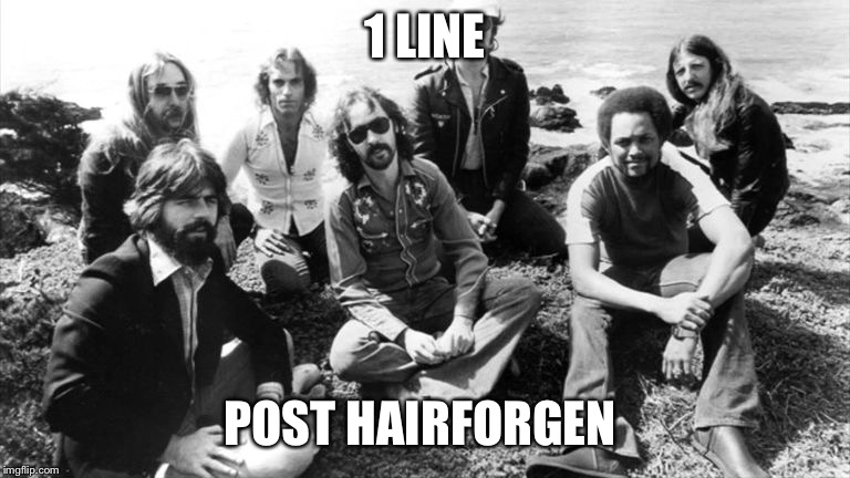 1 LINE; POST HAIRFORGEN | image tagged in doobie brothers,hippie,long hair | made w/ Imgflip meme maker