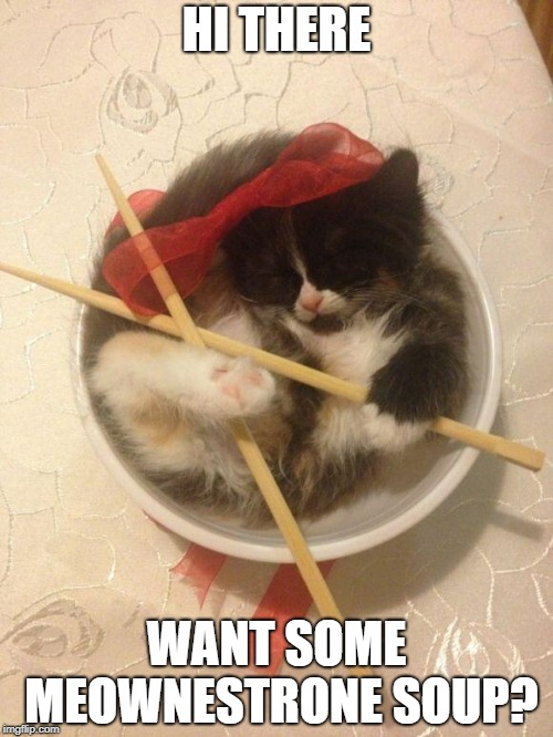 Soup Cat Stole Your Soup | HI THERE; WANT SOME MEOWNESTRONE SOUP? | image tagged in kitty,no soup for you,soup,cute cat,kitten,memes | made w/ Imgflip meme maker