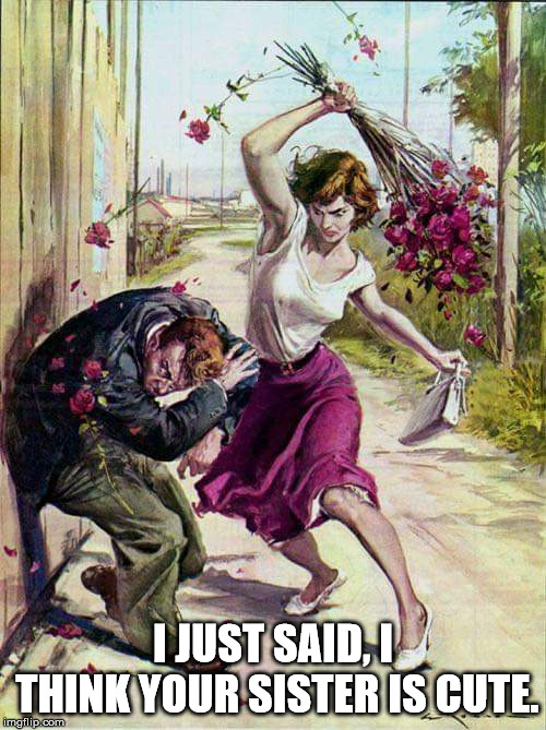 Beaten with Roses | I JUST SAID, I THINK YOUR SISTER IS CUTE. | image tagged in beaten with roses | made w/ Imgflip meme maker