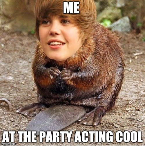 justin beaver | ME; AT THE PARTY ACTING COOL | image tagged in justin beaver | made w/ Imgflip meme maker