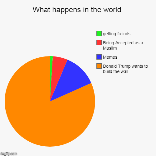 Reality for me | What happens in the world | Donald Trump wants to build the wall, Memes, Being Accepted as a Muslim, getting freinds | image tagged in funny,pie charts | made w/ Imgflip chart maker