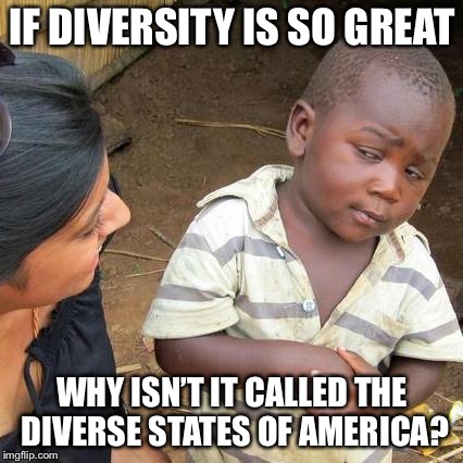 Third World Skeptical Kid Meme | IF DIVERSITY IS SO GREAT WHY ISN’T IT CALLED THE DIVERSE STATES OF AMERICA? | image tagged in memes,third world skeptical kid | made w/ Imgflip meme maker