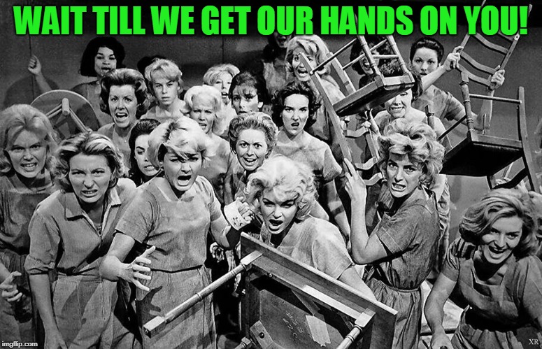 angry women | WAIT TILL WE GET OUR HANDS ON YOU! | image tagged in angry women | made w/ Imgflip meme maker