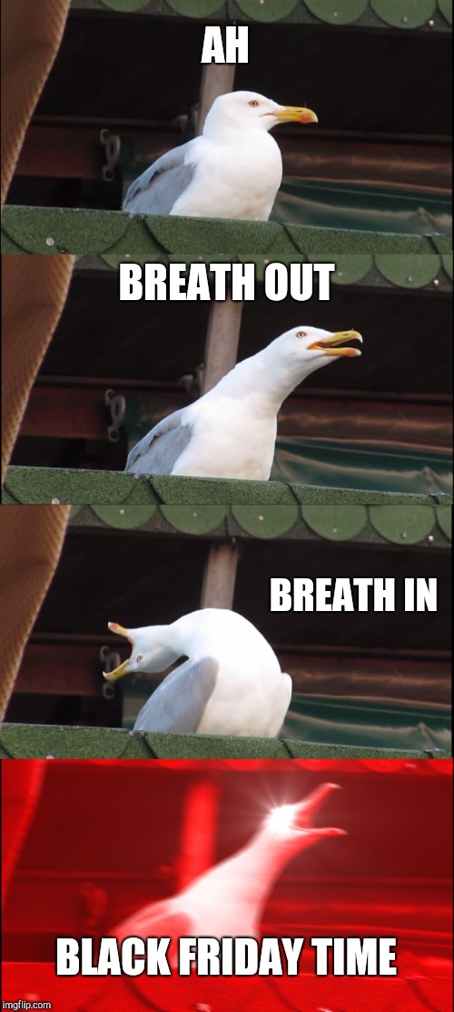 Inhaling Seagull Meme | AH; BREATH OUT; BREATH IN; BLACK FRIDAY TIME | image tagged in memes,inhaling seagull | made w/ Imgflip meme maker