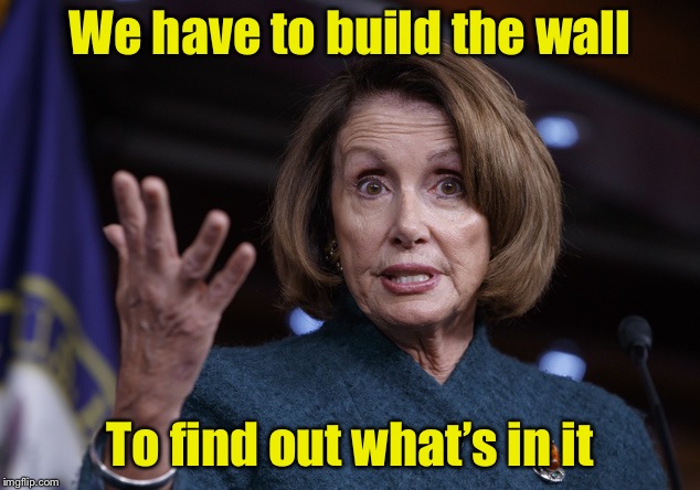 Good old Nancy Pelosi | We have to build the wall; To find out what’s in it | image tagged in good old nancy pelosi,border wall | made w/ Imgflip meme maker