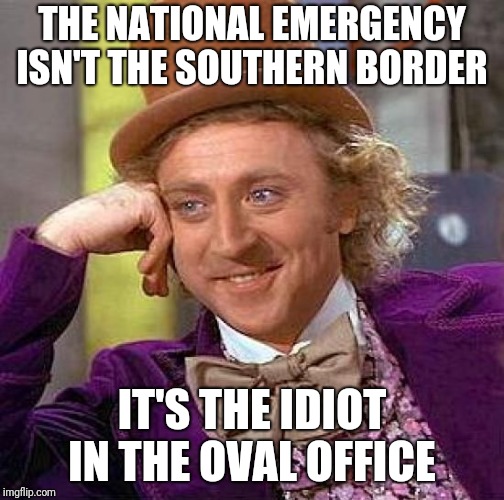 Creepy Condescending Wonka | THE NATIONAL EMERGENCY ISN'T THE SOUTHERN BORDER; IT'S THE IDIOT IN THE OVAL OFFICE | image tagged in memes,creepy condescending wonka | made w/ Imgflip meme maker