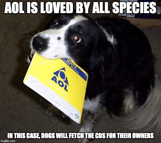 AOL Dog | AOL IS LOVED BY ALL SPECIES; IN THIS CASE, DOGS WILL FETCH THE CDS FOR THEIR OWNERS | image tagged in aol,dog,memes | made w/ Imgflip meme maker