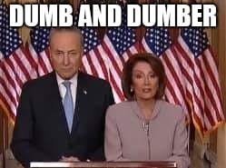 Chuck Schumer and Nancy Pelosi | image tagged in political meme | made w/ Imgflip meme maker