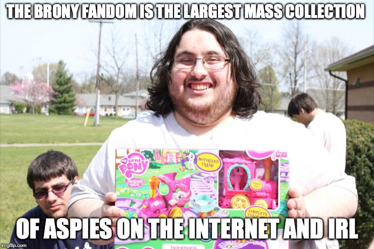 Average Brony | THE BRONY FANDOM IS THE LARGEST MASS COLLECTION; OF ASPIES ON THE INTERNET AND IRL | image tagged in brony,my little pony,aspergers,memes | made w/ Imgflip meme maker