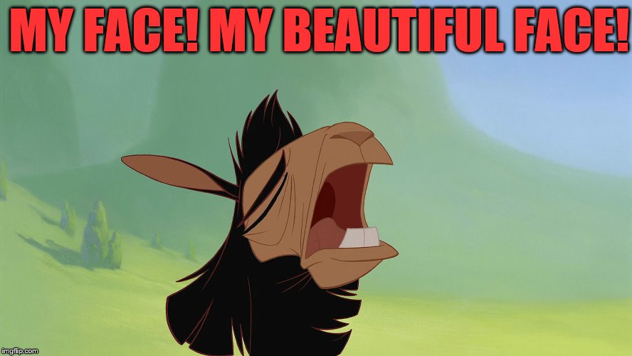 Emperor's new Groove Kuzco Llama | MY FACE! MY BEAUTIFUL FACE! | image tagged in emperor's new groove kuzco llama | made w/ Imgflip meme maker