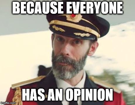 Captain Obvious | BECAUSE EVERYONE HAS AN OPINION | image tagged in captain obvious | made w/ Imgflip meme maker