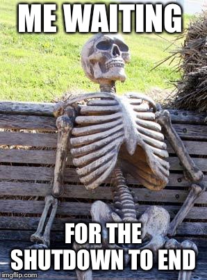 Waiting Skeleton | ME WAITING; FOR THE SHUTDOWN TO END | image tagged in memes,waiting skeleton | made w/ Imgflip meme maker