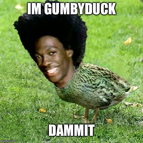 Duckith Wheatith | IM GUMBYDUCK DAMMIT | image tagged in duckith wheatith | made w/ Imgflip meme maker